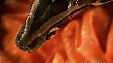 Looking Good In Sexy Asia