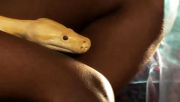 The Most Seductive Ritual