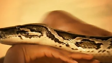 The Beginning Of Mankind