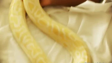 Wonderful Loving Babe From Exotic Asia