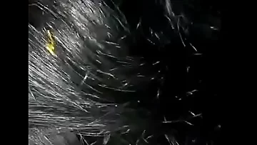 tamil married lady fun with her neighbour