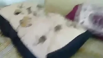 tamil aunty fingered moaning