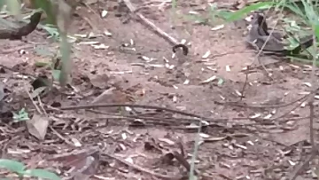 Kamala Aunty Phone lo Srungaram with Neighbour Telugu Phone Talk  Talk Telugu Mu low