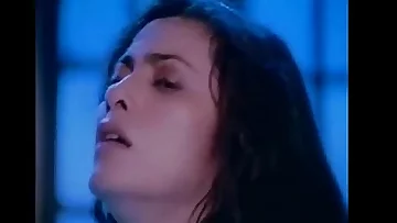 Porn - Bollywood Star Shah rukh khan