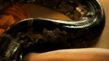 Rise Erotic Serpent Rise!